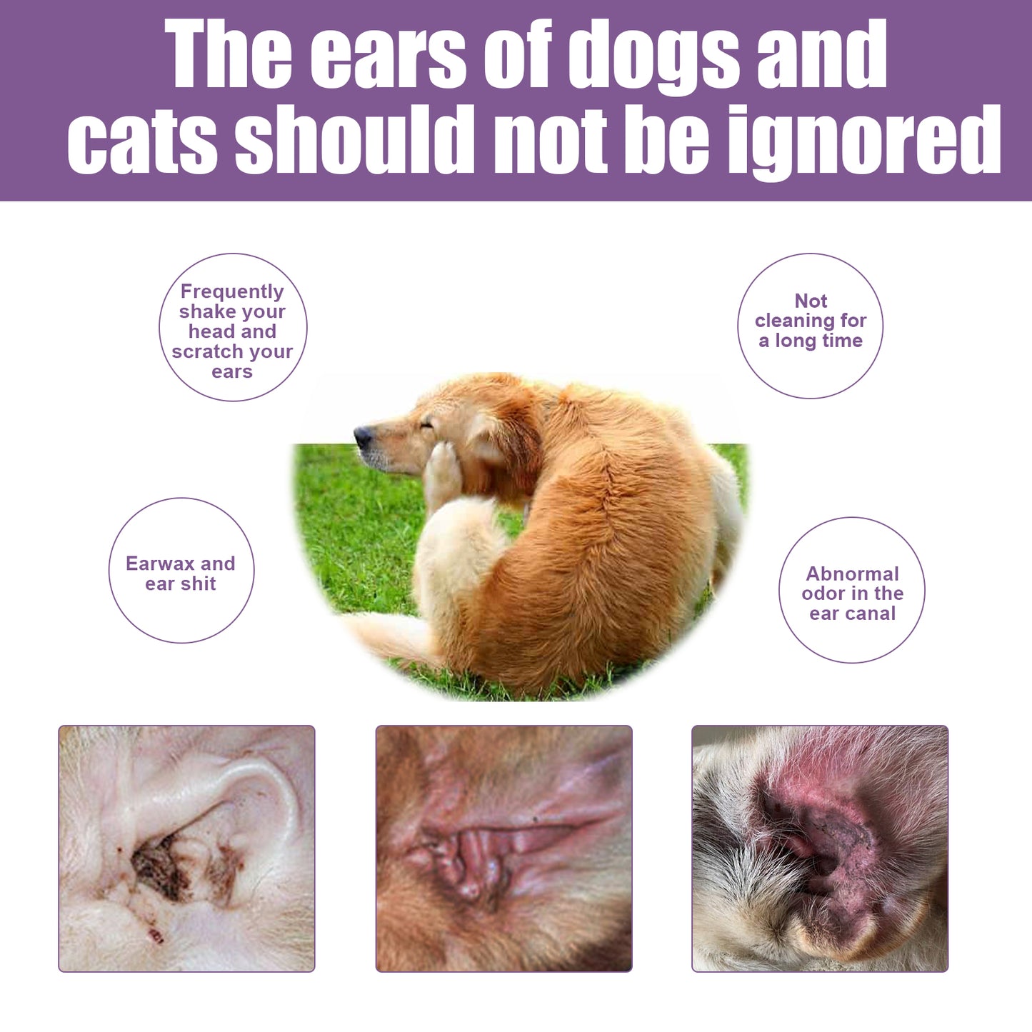 Pet Ear Rinse Cleaner 118ml with Cotton Swabs, Gentle Antimicrobial Ear Wash for Dogs Cats