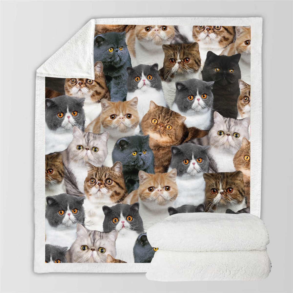 Printed Flannel Pet Dog Blanket - Multiple Sizes & Styles