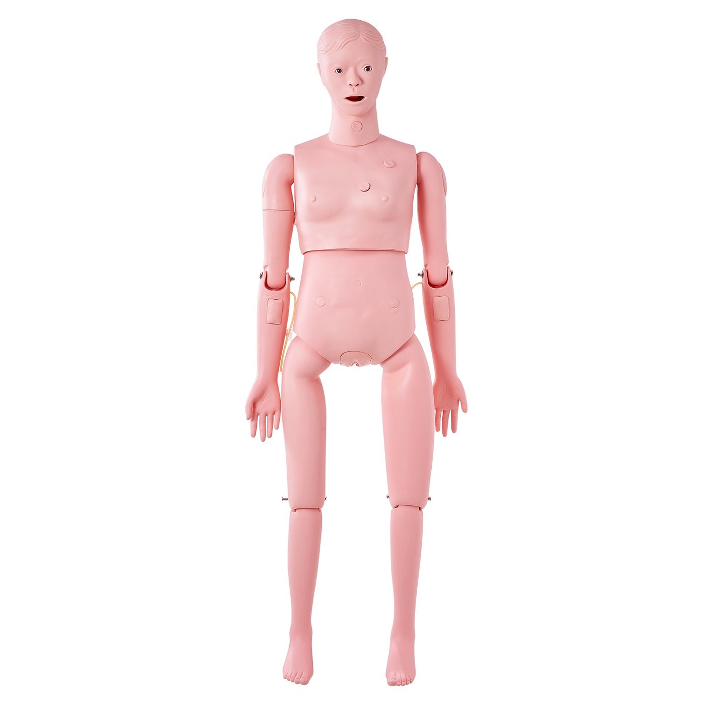 Lifelike Female Nursing Training Manikin for Medical Education