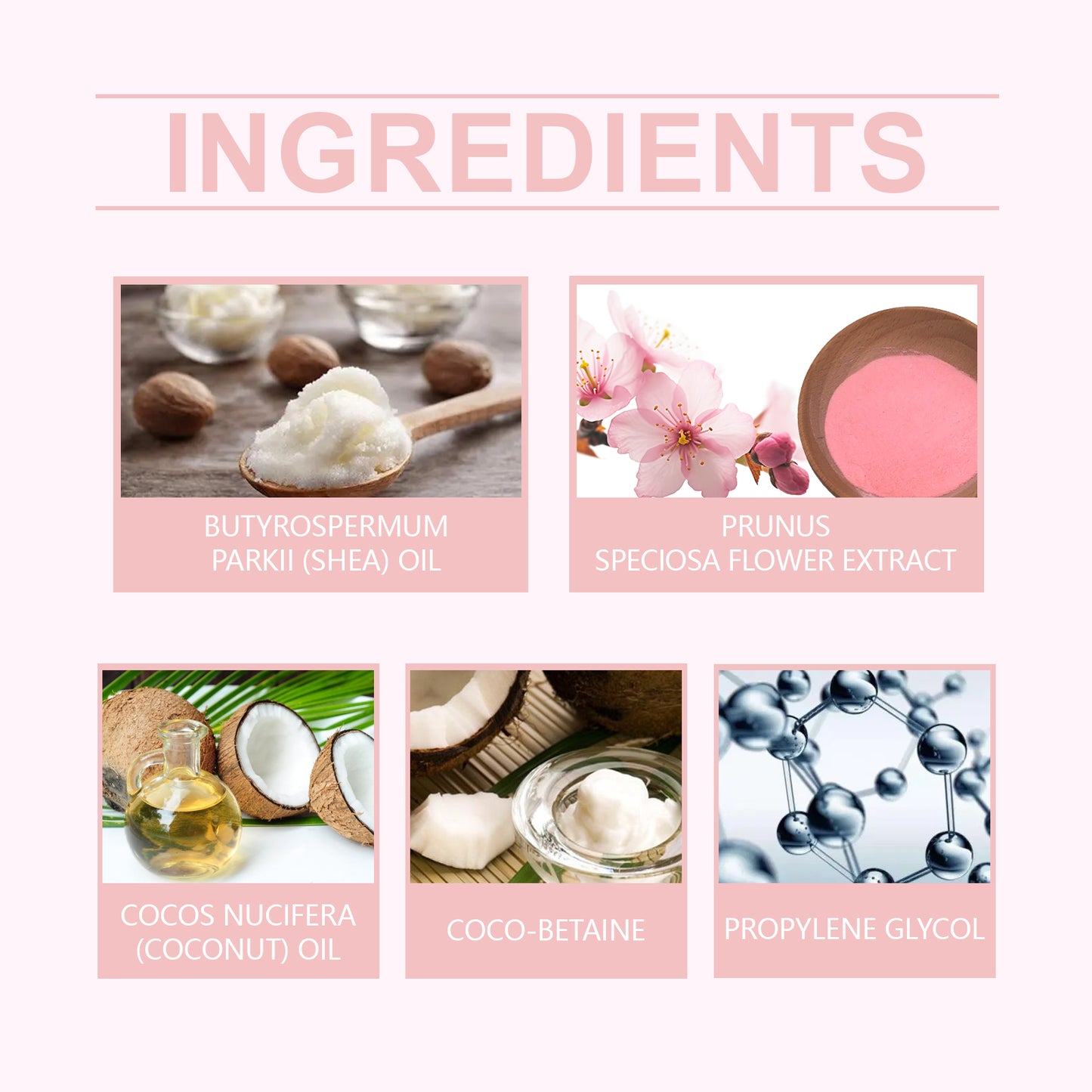 Cherry Blossom Moisturizing Body Wash - Shea Butter & Coconut Oil Formula