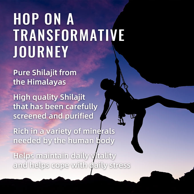 Shilajit Gummies - 60 Count Natural Energy Supplement