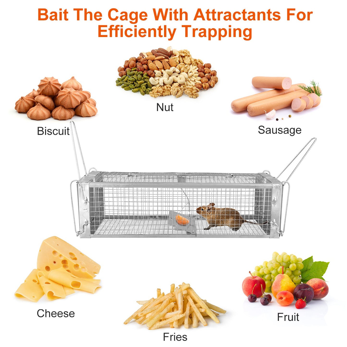 Humane Dual Door Rat Trap Cage - Zinc Electroplating, 14x11cm