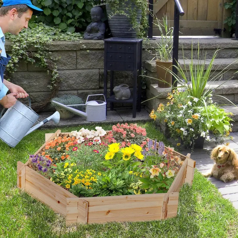 Screwless Hexagon Raised Garden Bed - DIY Herb and Plant Planter Box