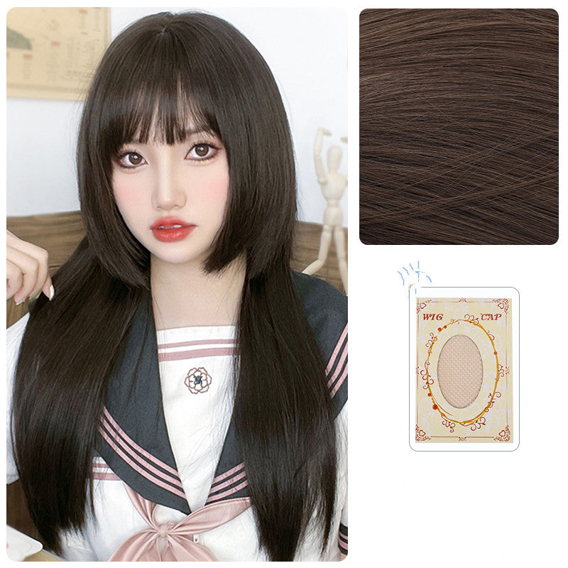 Long Straight Synthetic Wig - 60cm Hair Net
