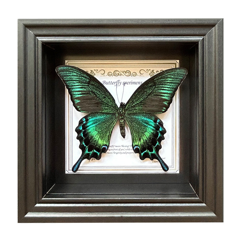 Butterfly Specimen Wall Art - Framed Decorative Butterfly Print - Multiple Sizes & Styles