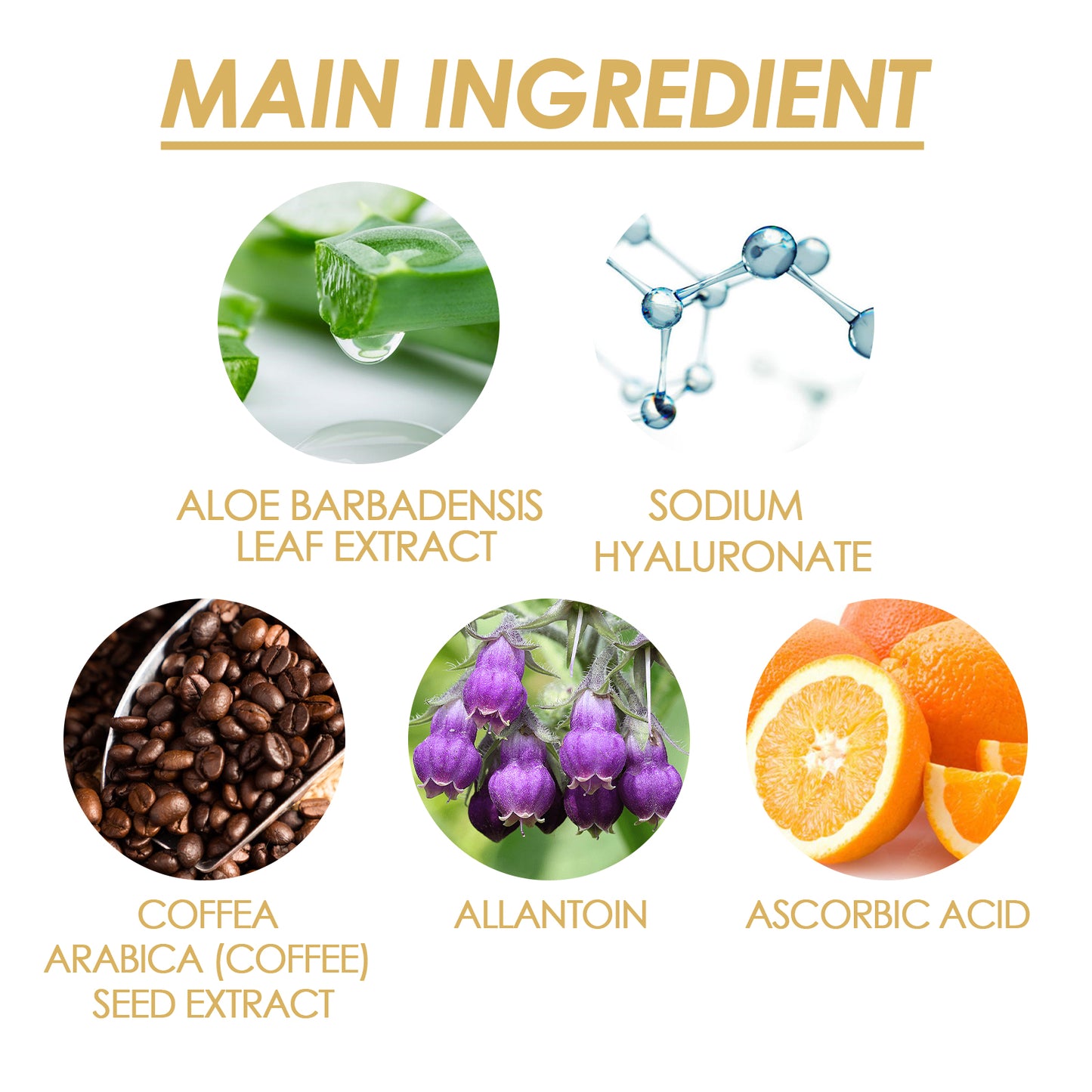 Liquid Silk Body Essence Oil - Hydrating & Anti-Aging Skin Firming Treatment