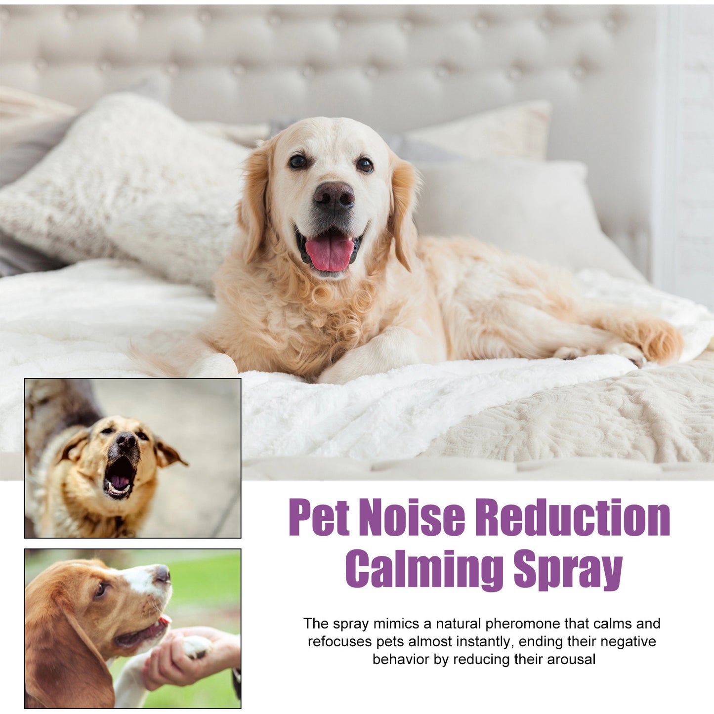 Pet Calming Spray for Dogs - Reduce Barking & Anxiety, Lavender Chamomile, 50ml