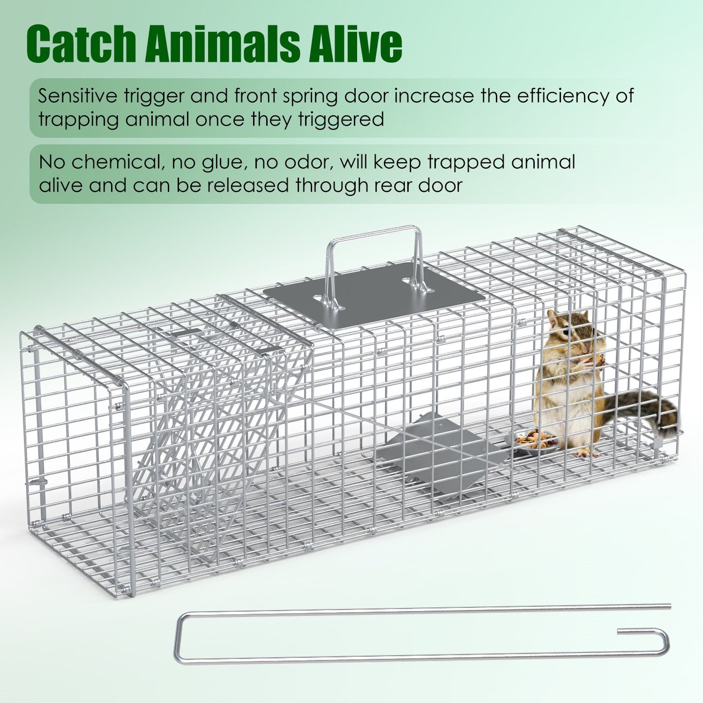 Humane Live Animal Trap Cage - 27x7.5x8in for Cats & Small Animals