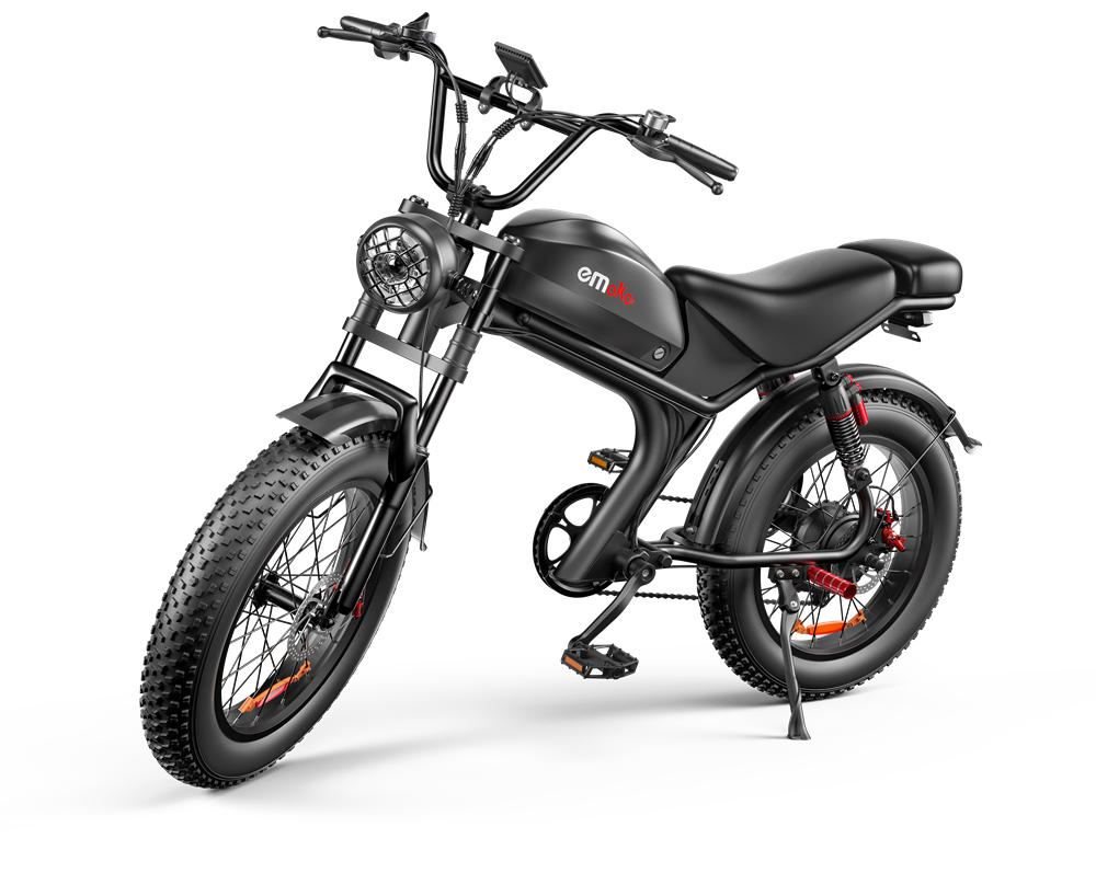20 Inch Electric Bike - 1000W Motor, 48V Battery, Fat Tires