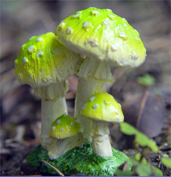 Small Mushroom Resin Decoration - Rustic Garden and Home Ornament