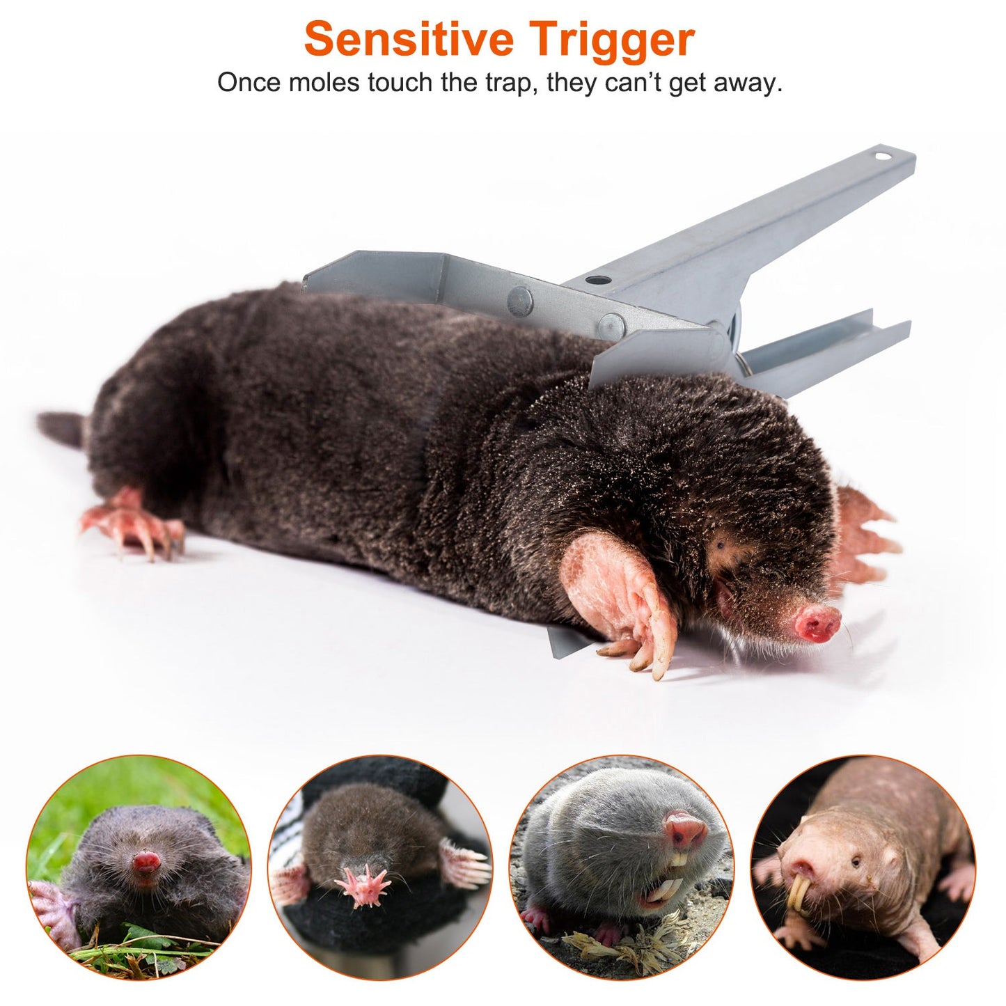 Reusable Mole Trap Set - 4 Pack, Easy-to-Use Garden Pest Control Tools