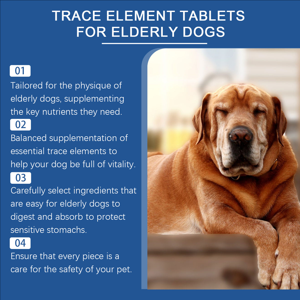Senior Dog Multimineral Tablets for Bone, Skin & Digestion Support - 80 Chewable Pills