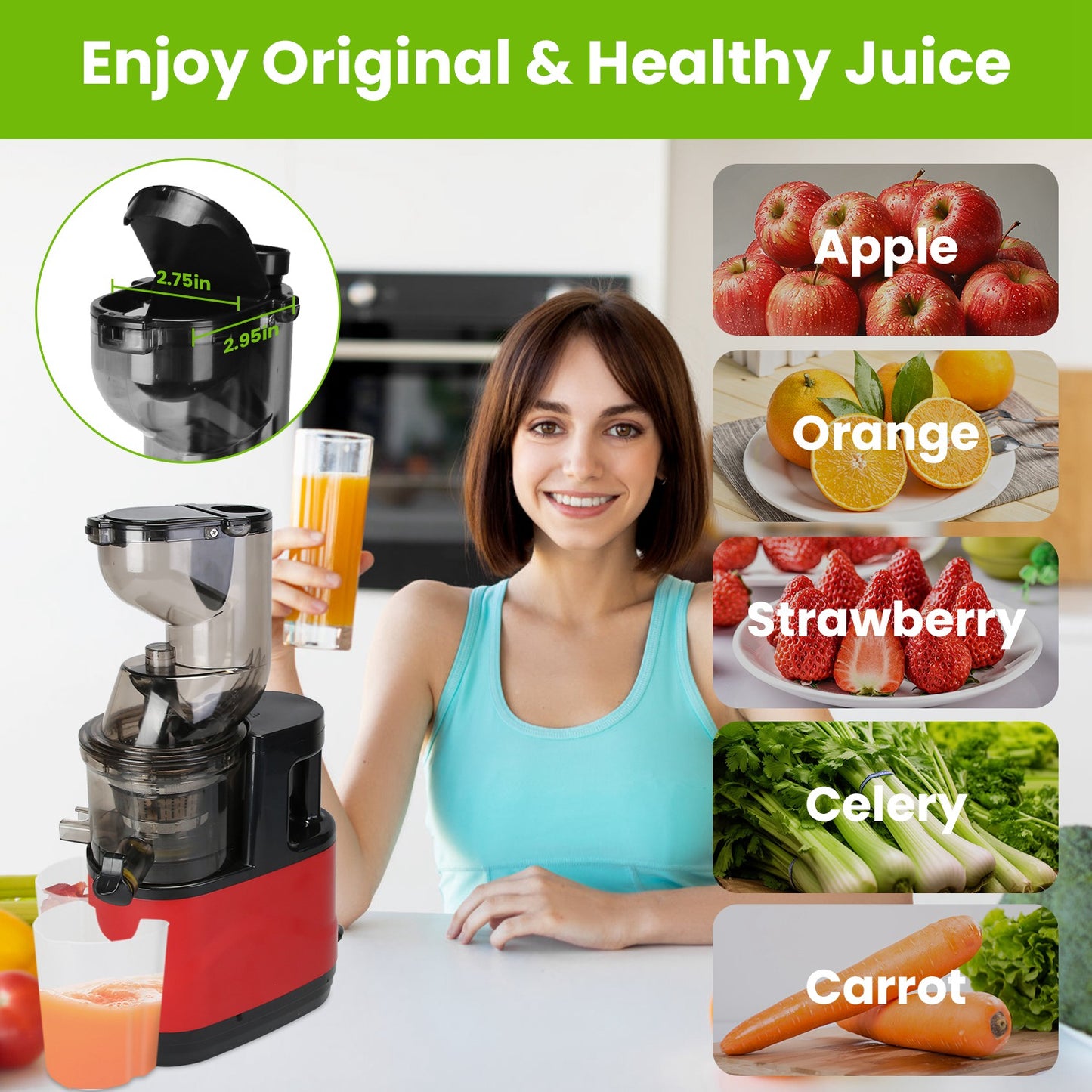 Cold Press Juicer Machine 300W Slow Masticating Juicer with Reverse Function - Red