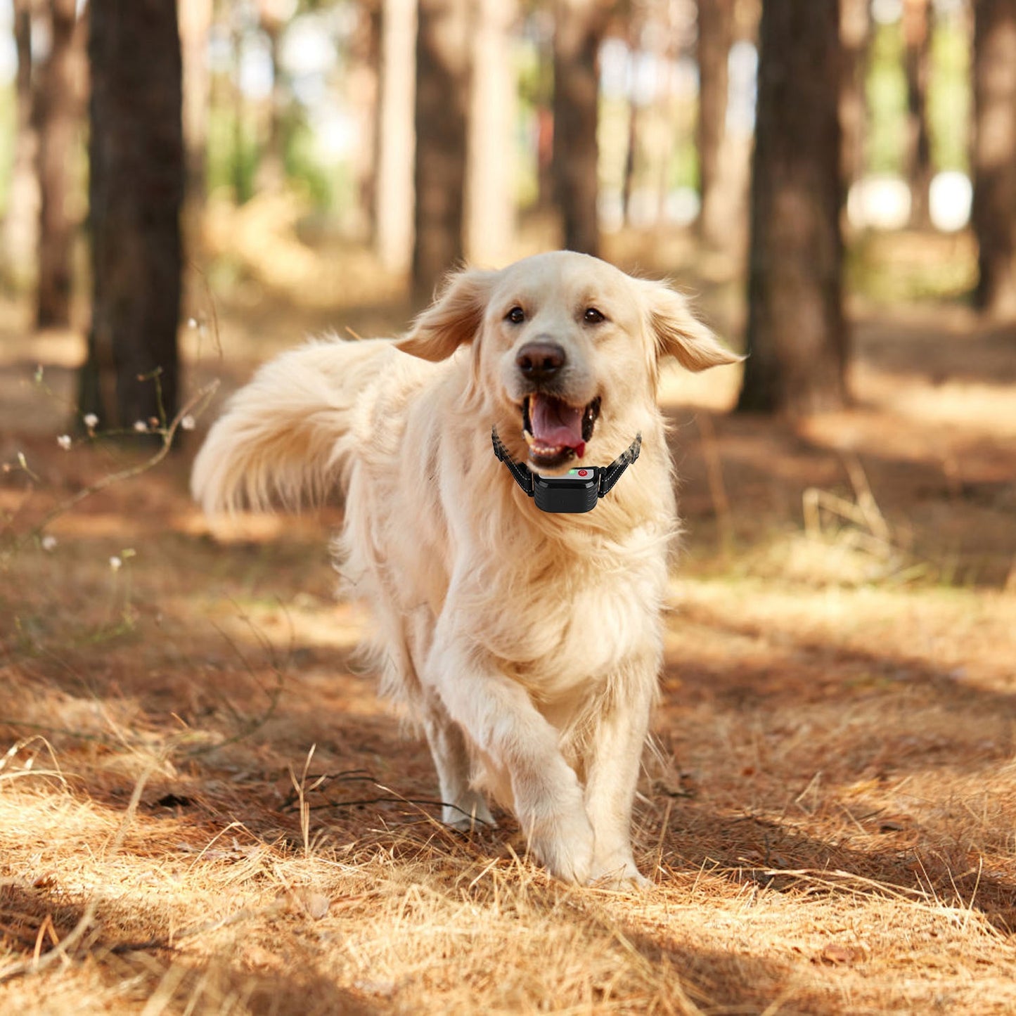 Wireless Dog Training Collar with 0-9 Levels, Beep Vibration Shock, Waterproof, 990Ft Range