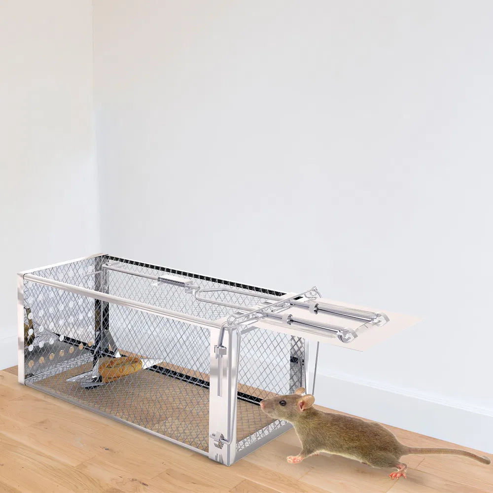 Humane Single Door Rat Trap - Stainless Steel Rodent Cage