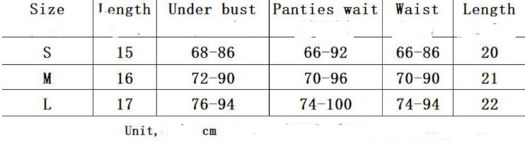 Women’s Mesh Pleated Skirt Sexy Elegant Lace Fabric Black