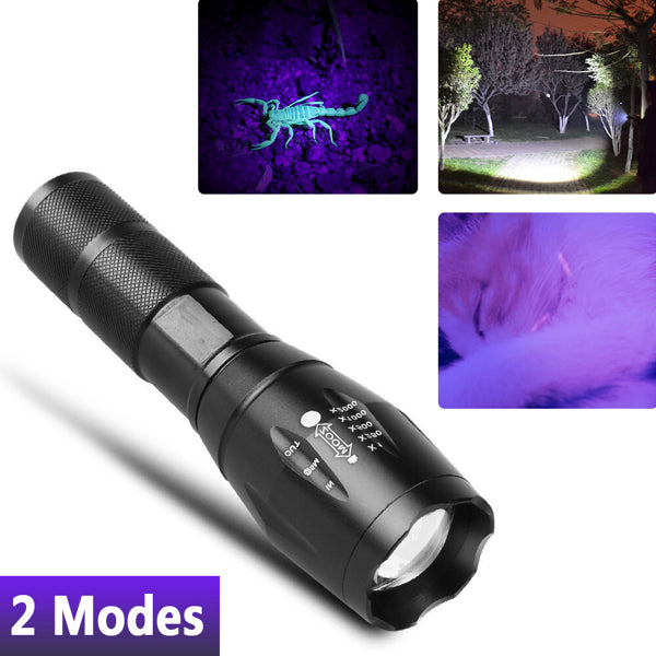 2-in-1 UV LED Flashlight with White Light Zoomable Detection Lamp