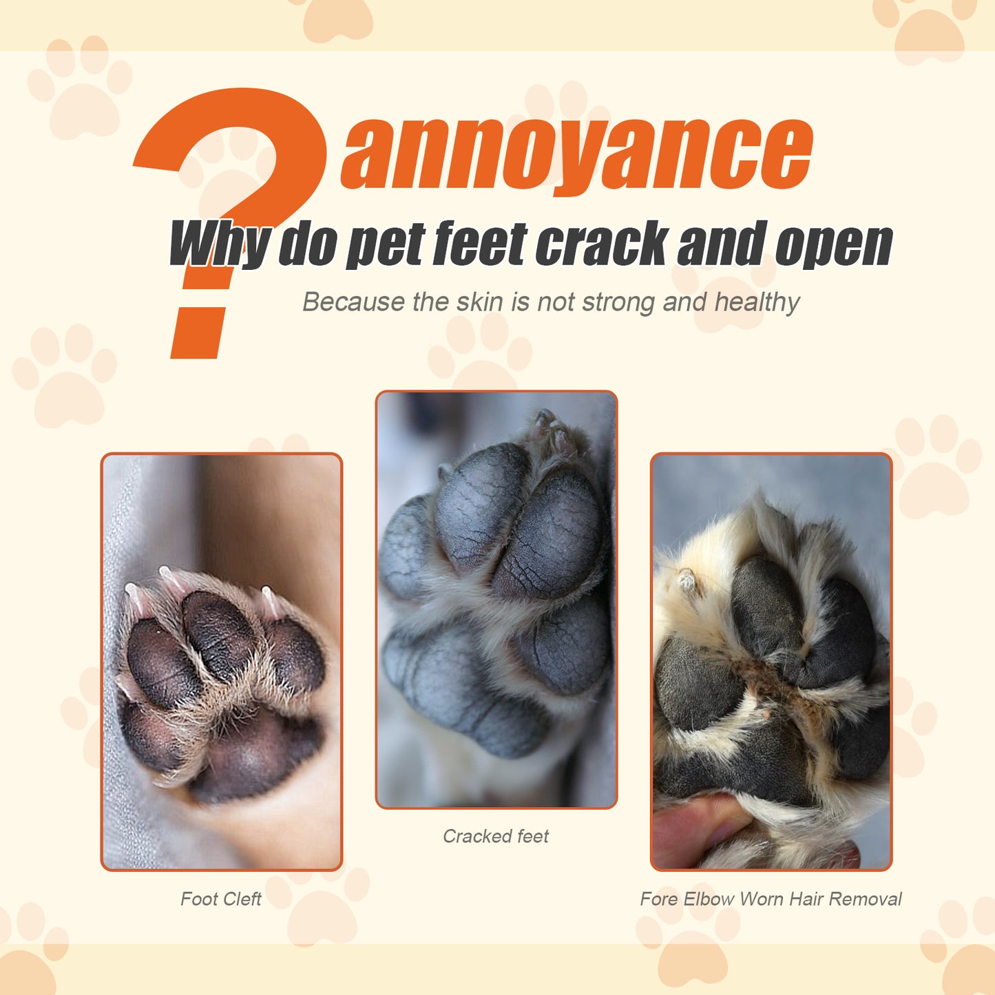 Pet Paw Moisturizing Balm for Cats and Dogs - Protects & Softens Pads