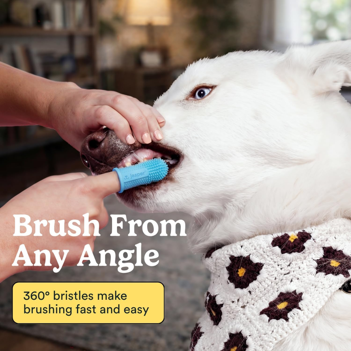 Dog Toothbrush Kit with 360 Silicone Bristles - Gentle Pet Dental Care
