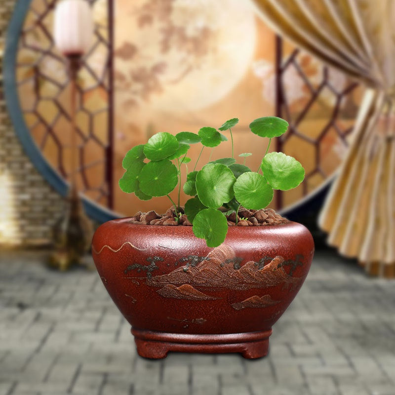 Purple Clay Flowerpot with Chinese Style Design Small Round & Square Options
