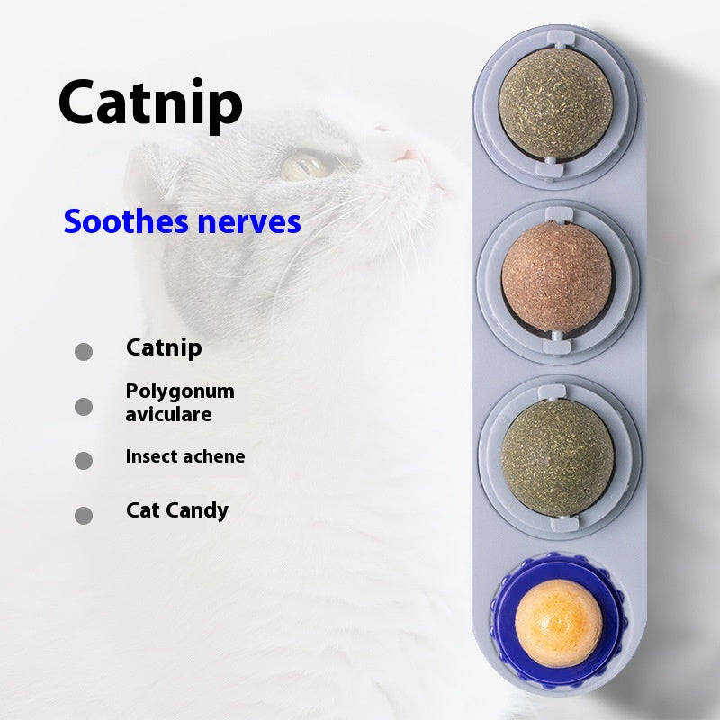 4-in-1 Rotating Catnip and Silver Vine Chew Toy Wall Mount for Cats
