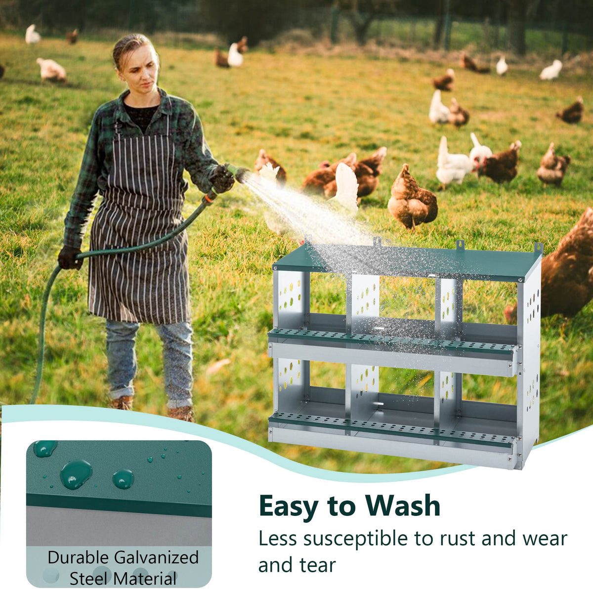 Green Chicken Nesting Box with Roll-Away Egg Collection - 6 Compartments