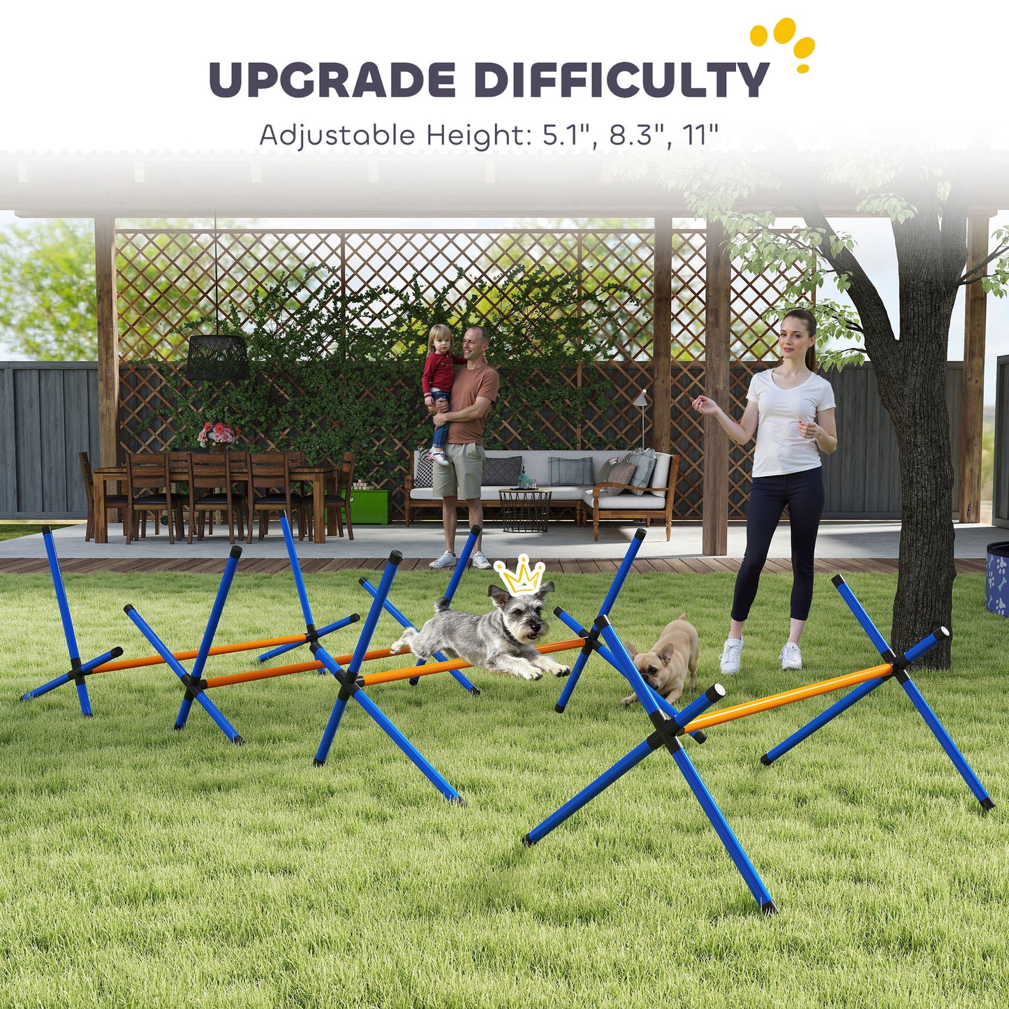 Dog Agility Course Set with Adjustable Jump Bars & Carry Bag - Backyard Training Equipment