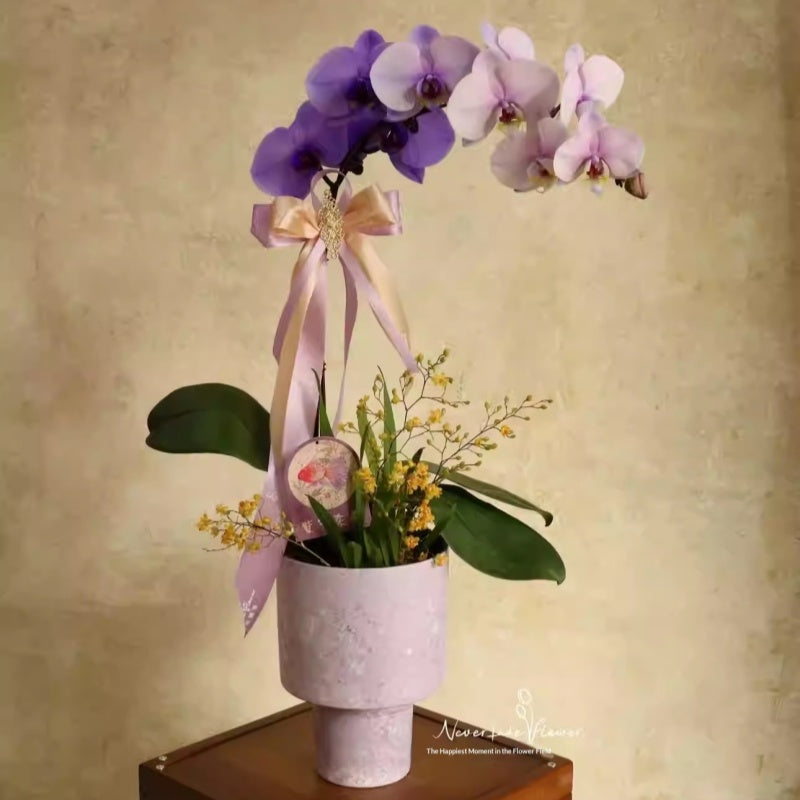 Tall Ceramic Flower Pot for Indoor Decor - Modern Home Garden Planter