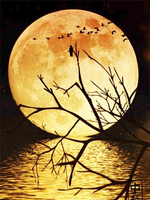 DIY Moon Full Square Diamond Painting Embroidery Home Decor
