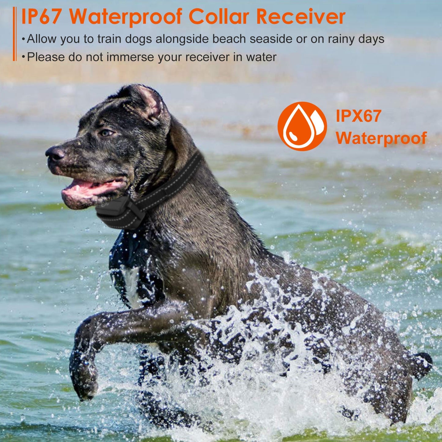 Waterproof Dog Training Collar with 3 Training Modes - 3280FT Range