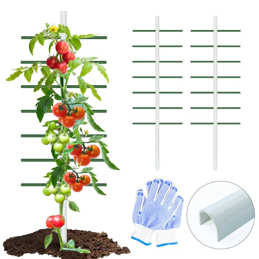 U-Shaped Tube Climbing Trellis - 6FT x 2FT, White