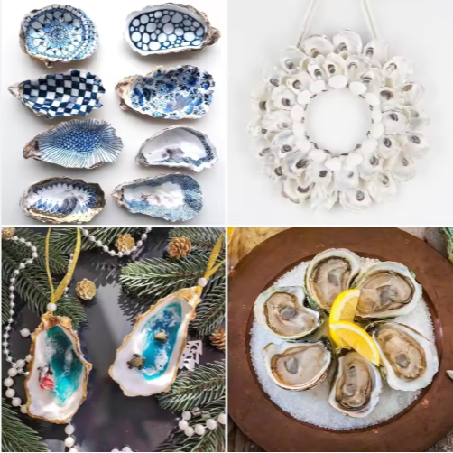 30pcs Natural Oyster Shells with Pearl for DIY Crafts & Ornaments