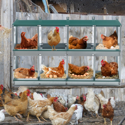 Metal Chicken Nesting Boxes with Vented Holes - Wall Mount Egg Laying Coop, Green