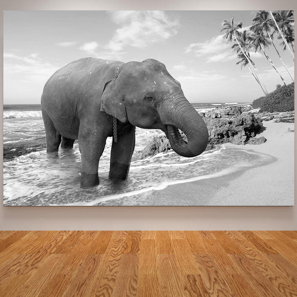 Elephant Wall Art Poster Canvas Print Black and White Animal Decor