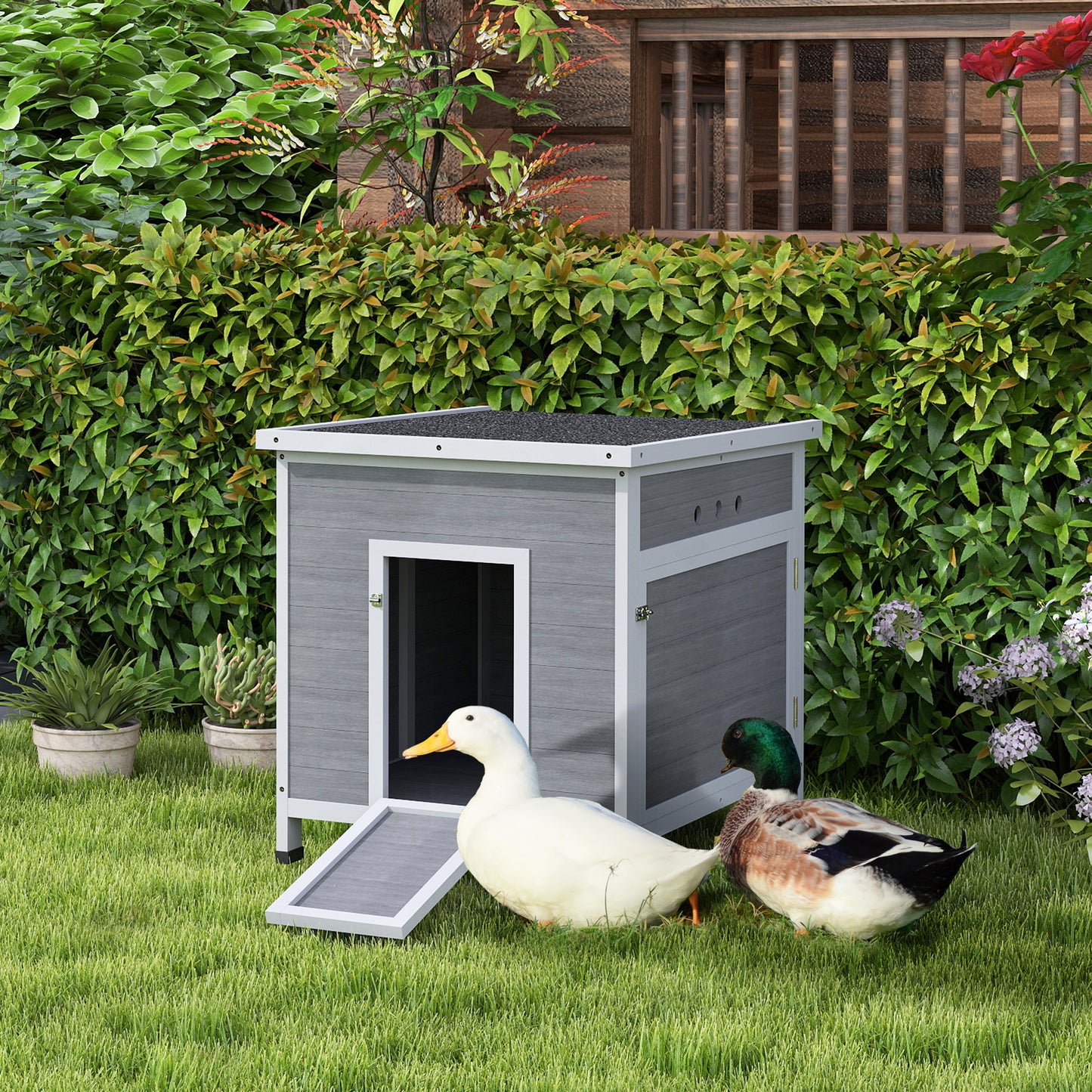 Wooden Duck Coop with Openable Roof, Removable Floor & Ramp, Fits 2-4 Birds - Light Gray