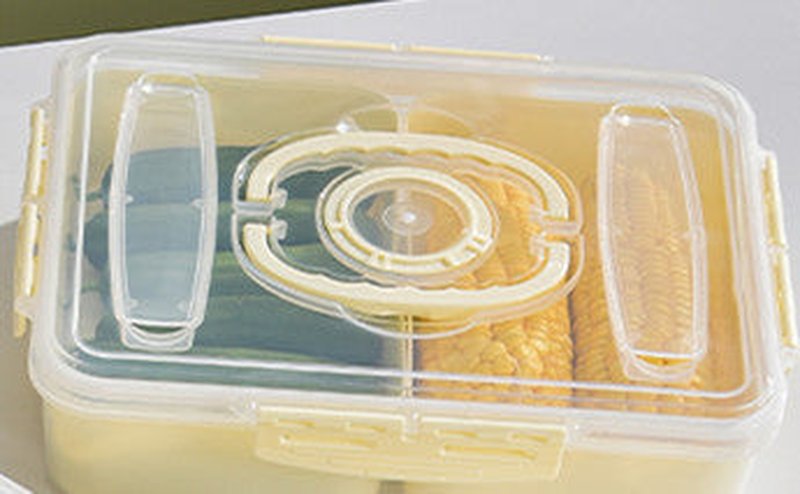 Portable Clear Plastic Food Storage Box with Multiple Compartments