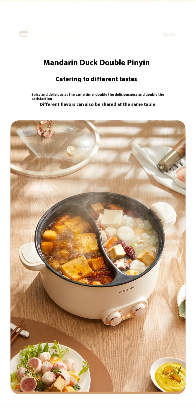 Large Capacity Electric Chafing Dish with Multi-Functional Heating for Home & Kitchen