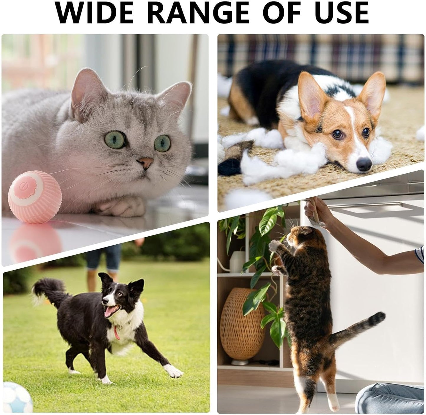 Interactive Rolling Cat Toy Ball - Self-Rotating Silicone Pet Chase Toy