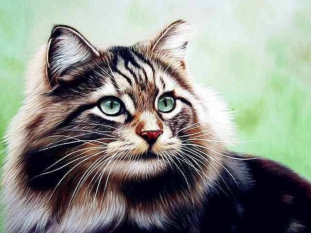 Diamond Painting Kit for Home Decor - Animal Rhinestone Art, Multiple Sizes & Styles