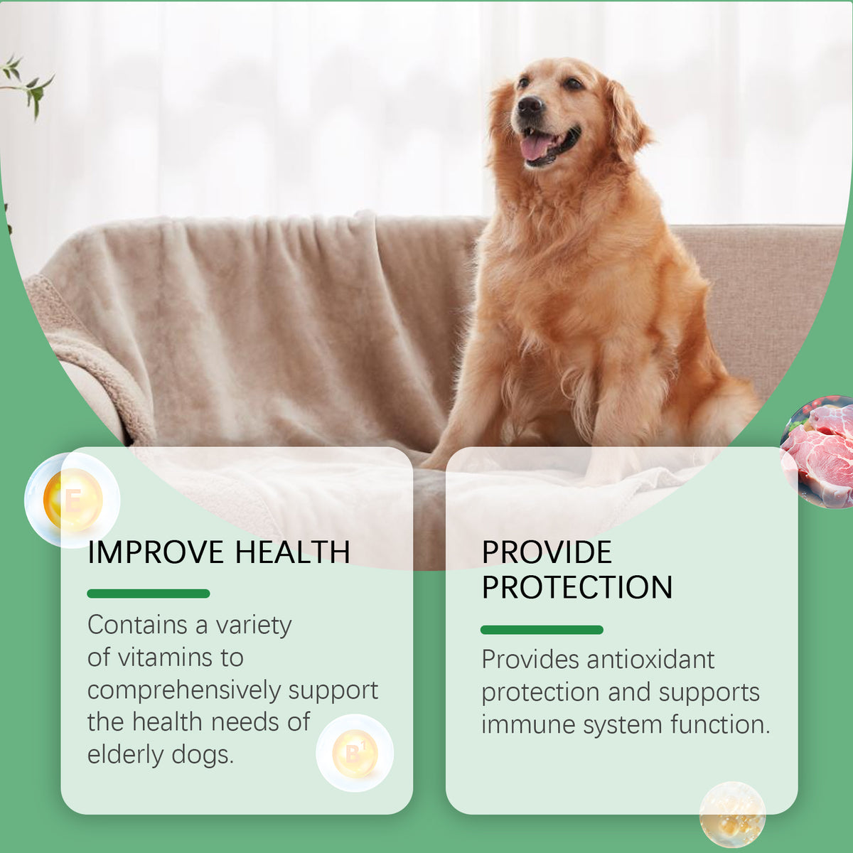 Senior Dog Multivitamin Chewables - Support Immunity, Eyes, Skin & Bones - 80 Tablets