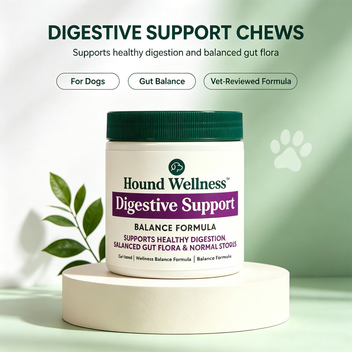 Digestive Health Chewable Tablets - 30 Count