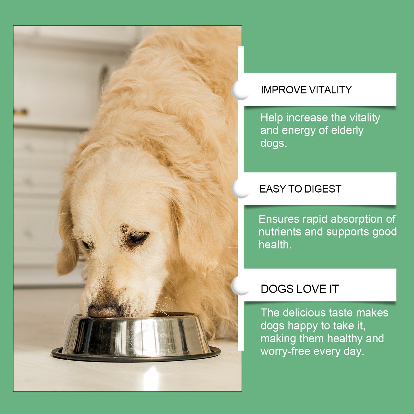 Senior Dog Multivitamin Chewables - Support Immunity, Eyes, Skin & Bones - 80 Tablets