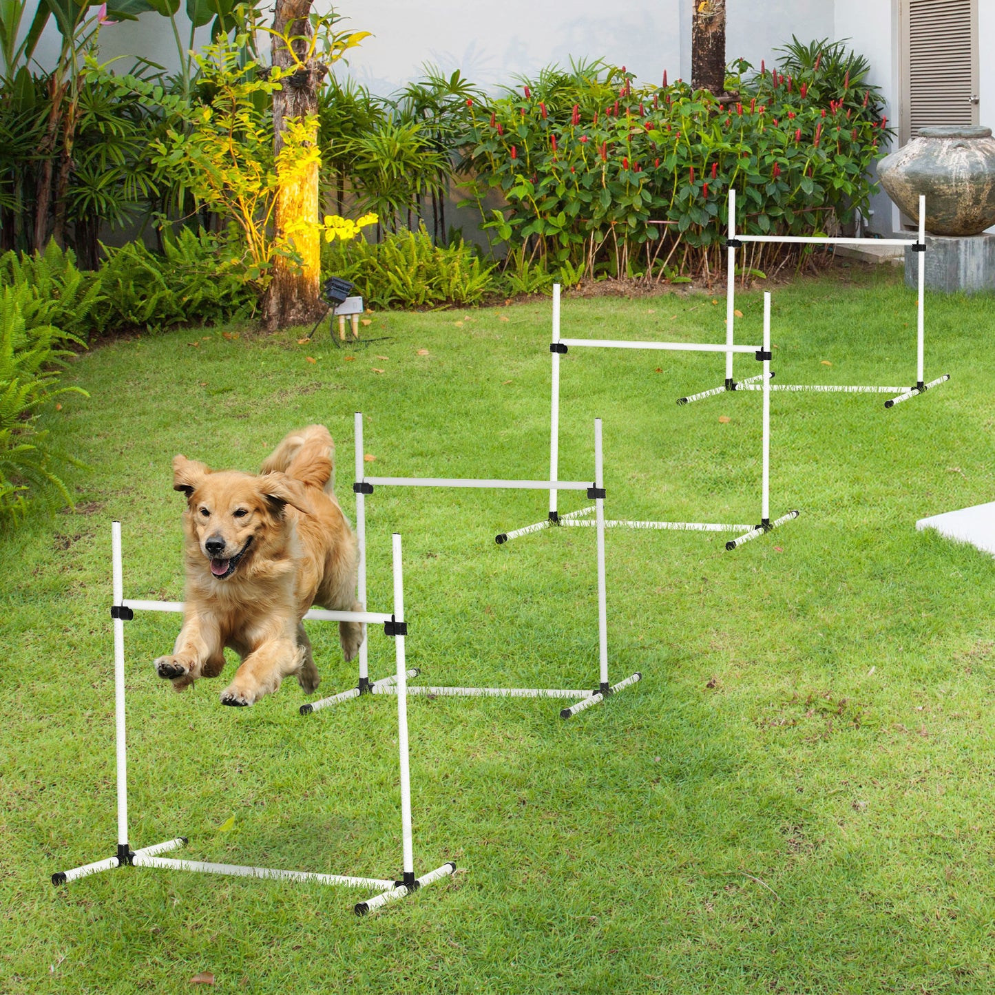 Dog Agility Training Equipment Set with Height-Adjustable Jump Poles - White, 4 Pieces