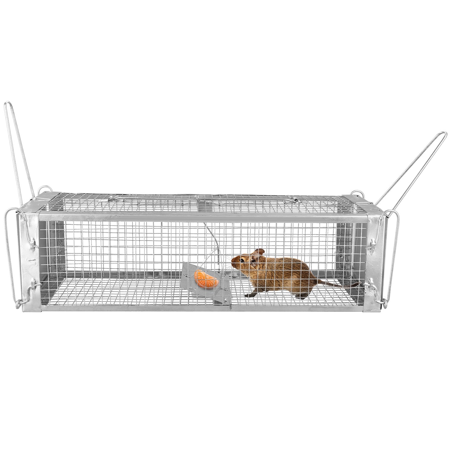 Humane Dual Door Rat Trap Cage - Zinc Electroplating, 14x11cm