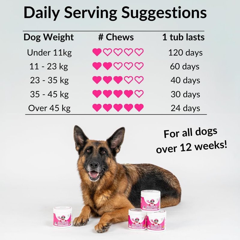 Dog & Cat Vitamin Chewable Tablets - 120 Count
