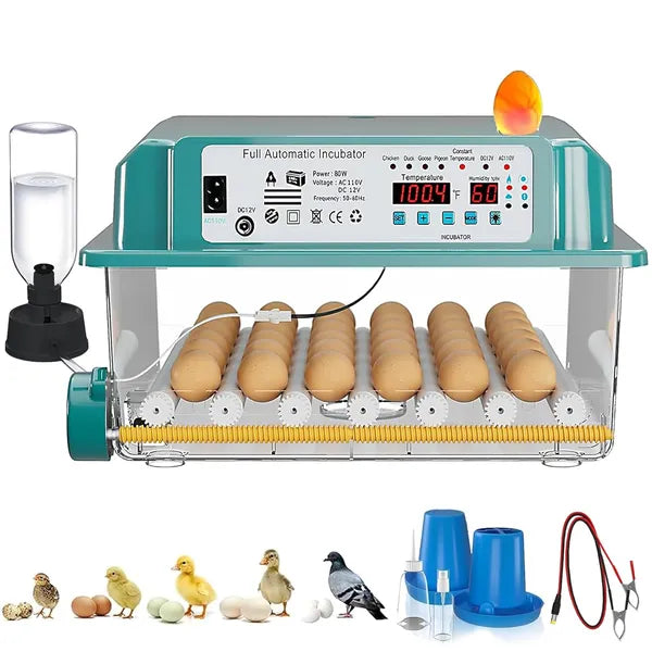 Automatic Egg Incubator for Hatching 36 Eggs - Humidity Control & Turning