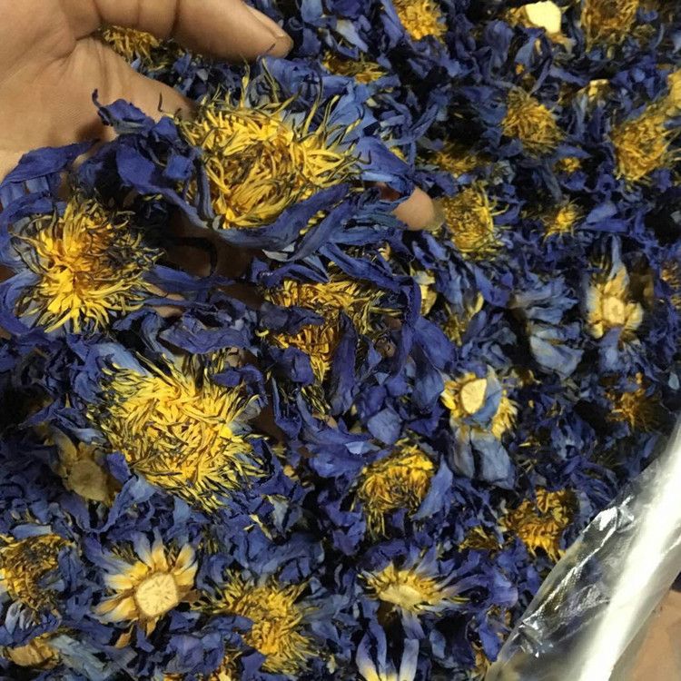 Blue Lotus Dried Flowers for Home Decor - Natural Fragrance & Rich Selection