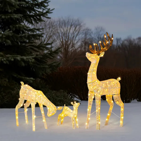 Lighted Christmas Reindeer Family Set - 3 Outdoor Decorations
