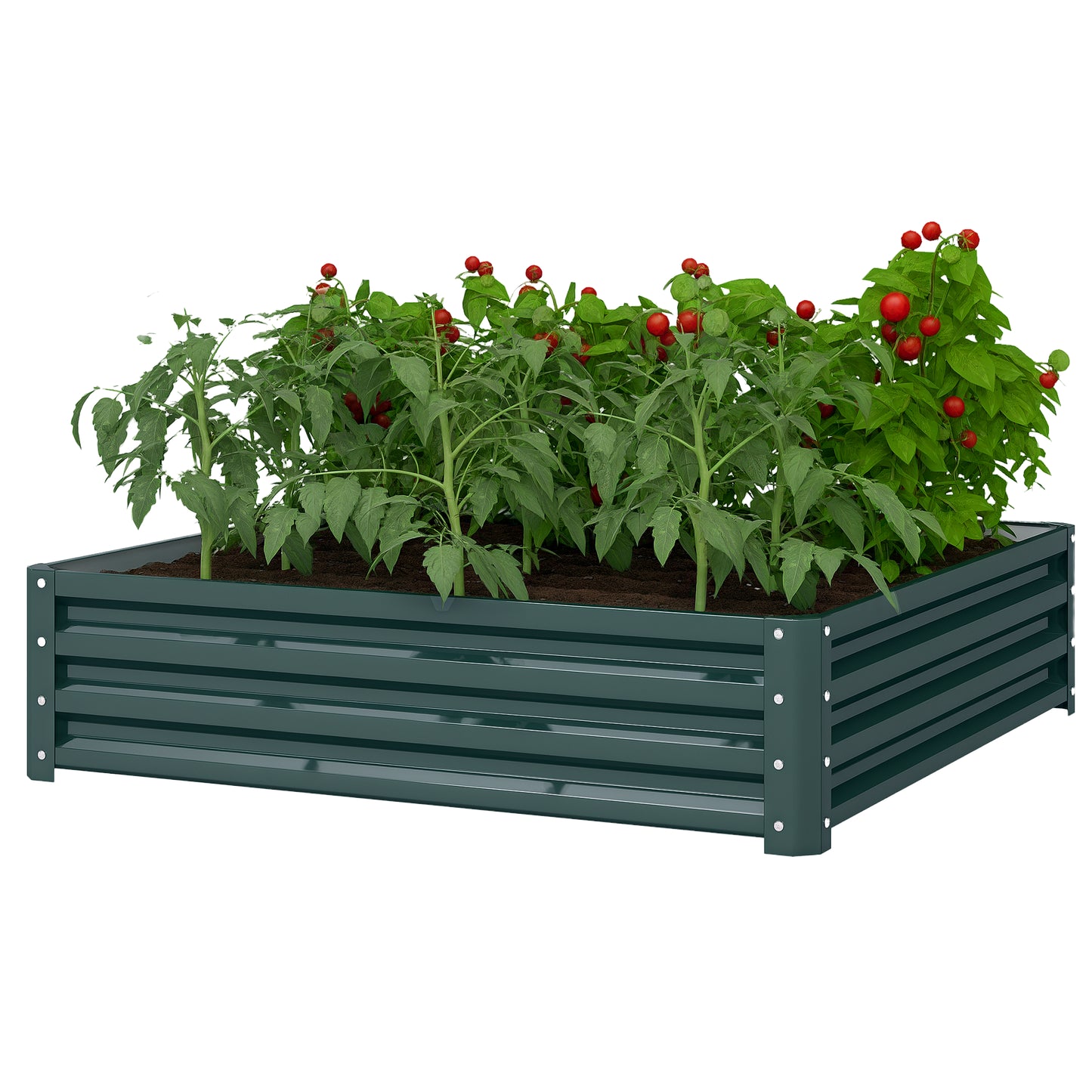 Galvanized Steel Raised Garden Bed 4x4x1 for Vegetables Herbs Flowers Green