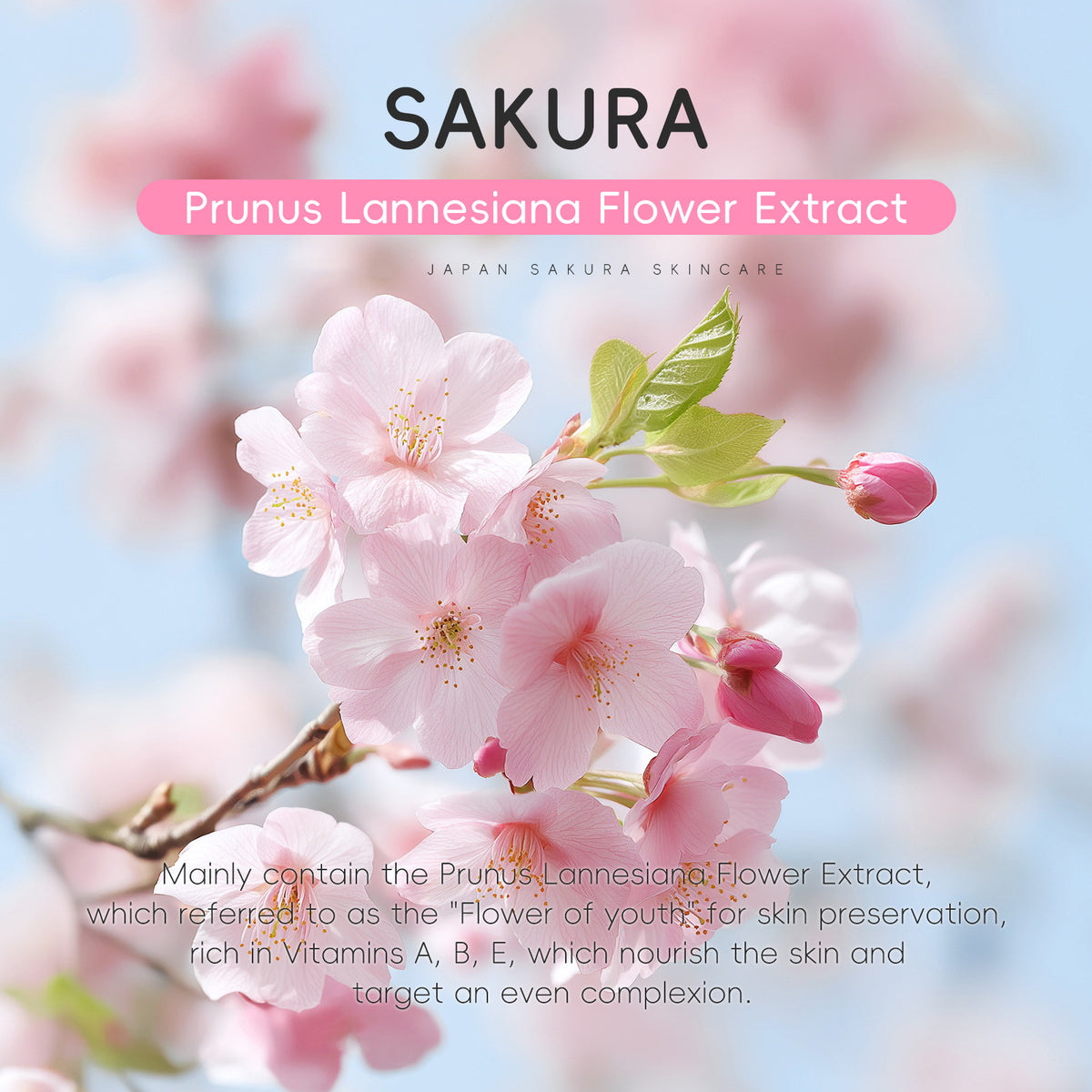 Sakura Refreshing Toner - 100ml